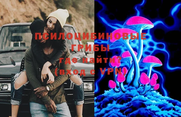 дурь Вяземский
