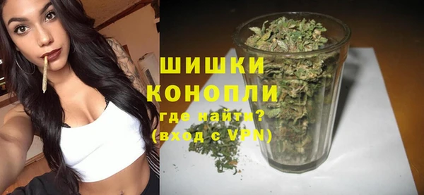 дурь Вяземский