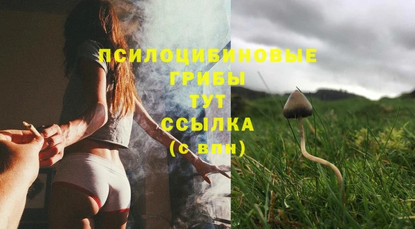 дурь Вяземский
