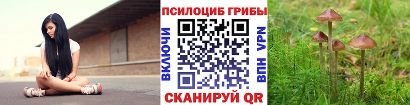 Купить закладки  Новоалтайск  Галлюциногенные грибы Cubensis 